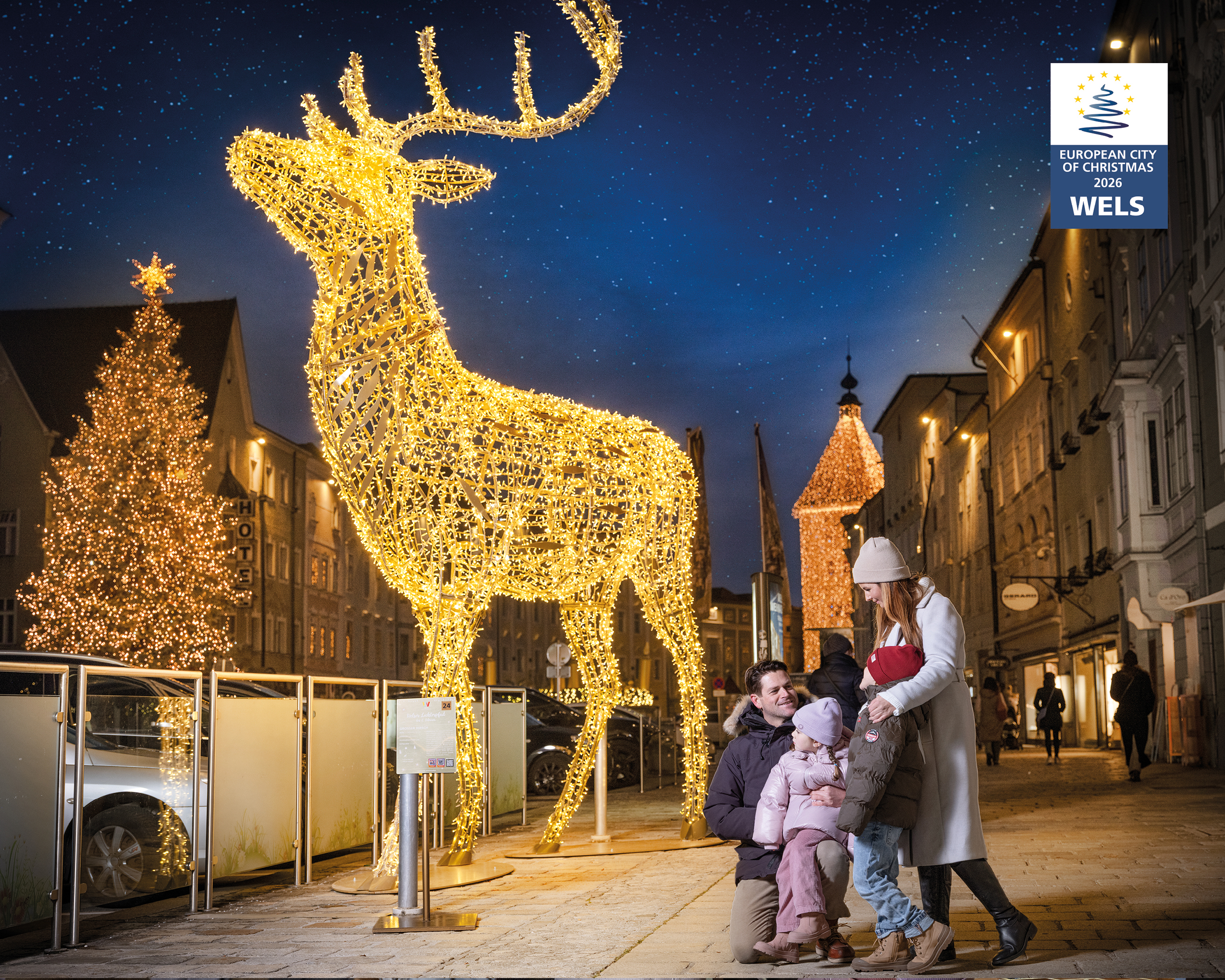 Leuchtender Hirsch aus Weihnachtslichtern in der Altstadt von Wels, festliche Adventstimmung beim Weihnachtsmarkt – © WELS MARKETING & TOURISTIK GmbH
