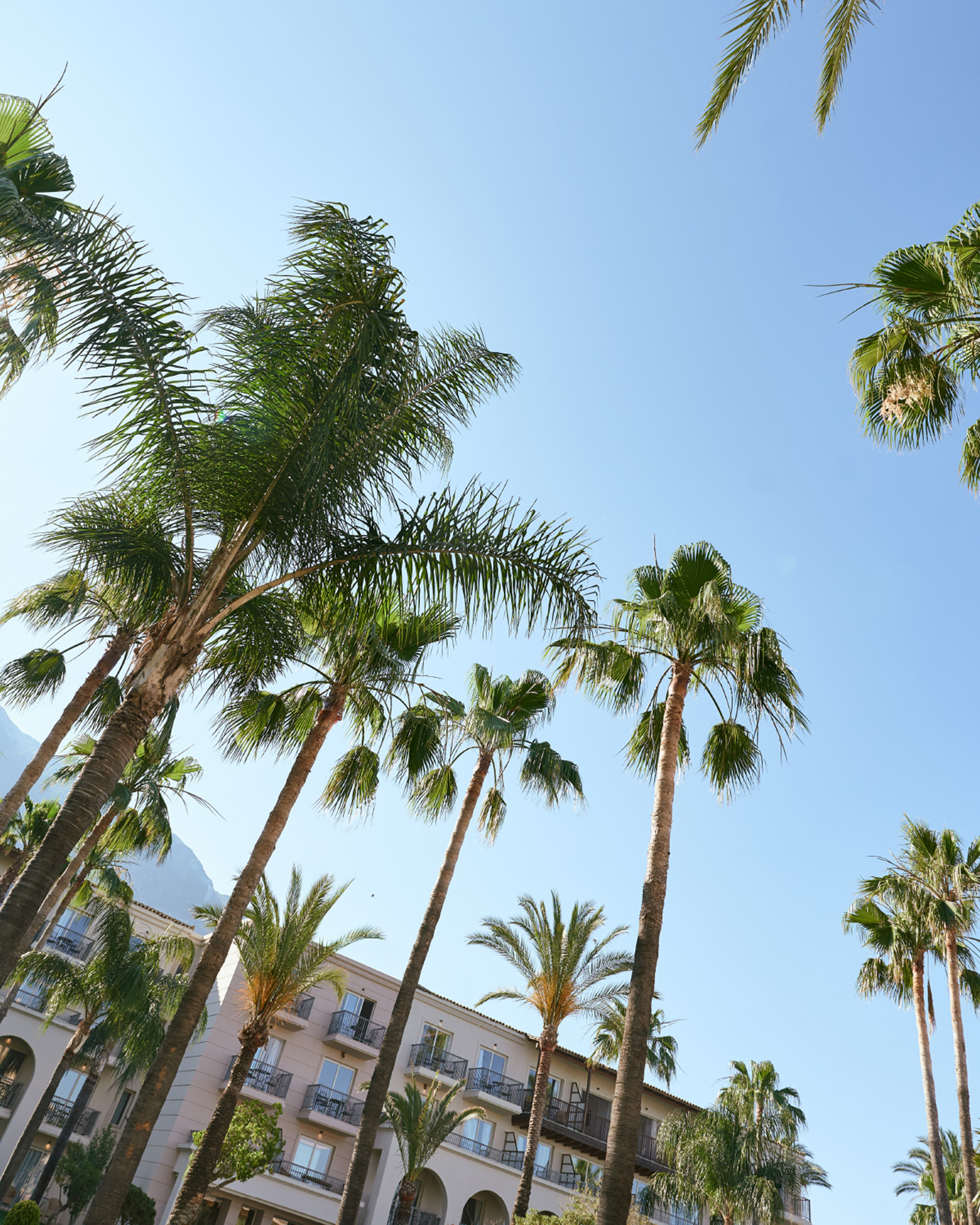 Hohe Palmen vor dem mediterranen Gebäude des Grecotel Filoxenia Kalamata unter strahlend blauem Himmel. © Grecotel Filoxenia Kalamata / Hotel