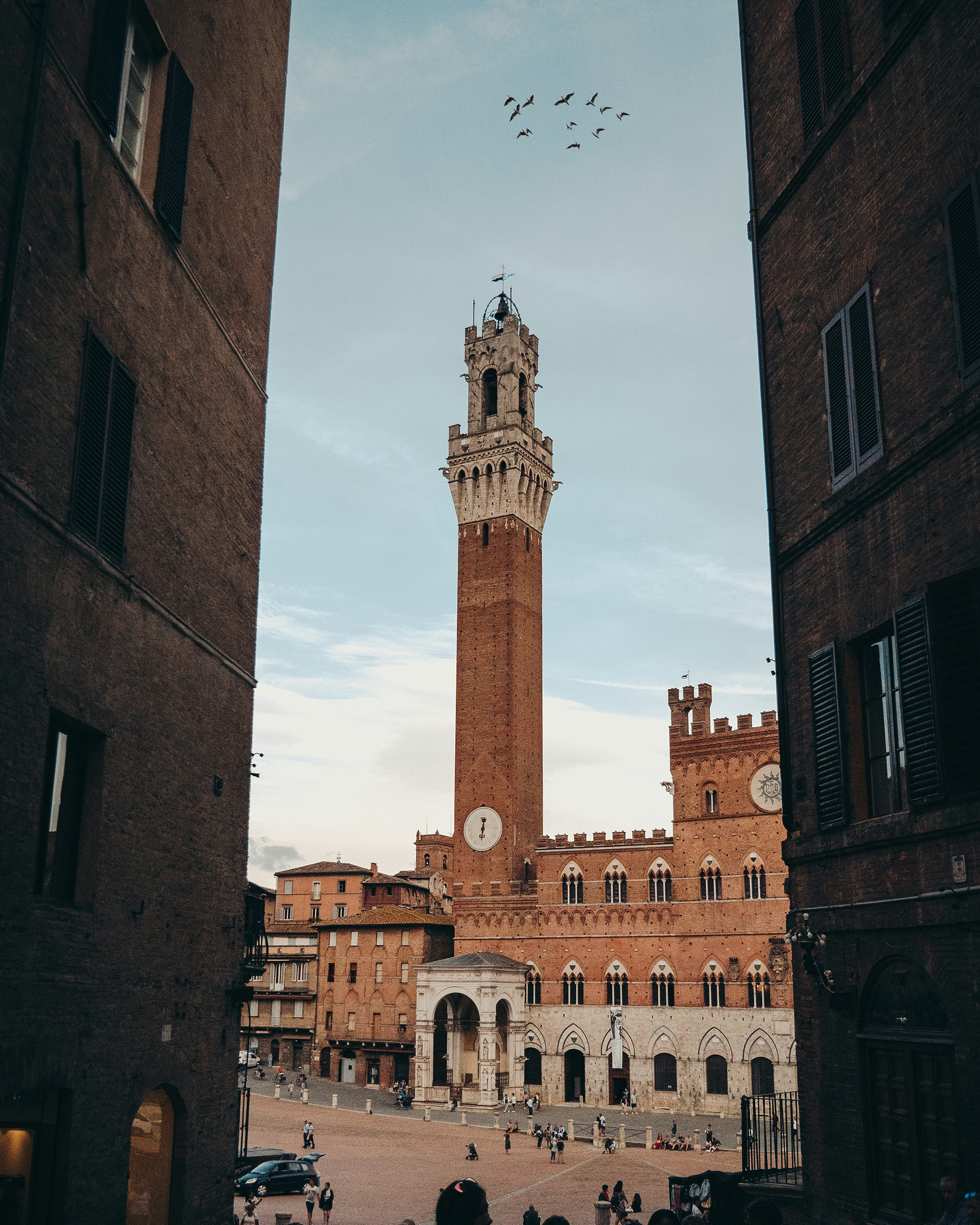 Blick auf die Piazza del Campo in Siena mit dem Torre del Mangia, eingerahmt von historischen Backsteingebäuden, Menschen auf dem Platz und Vögeln am Himmel.