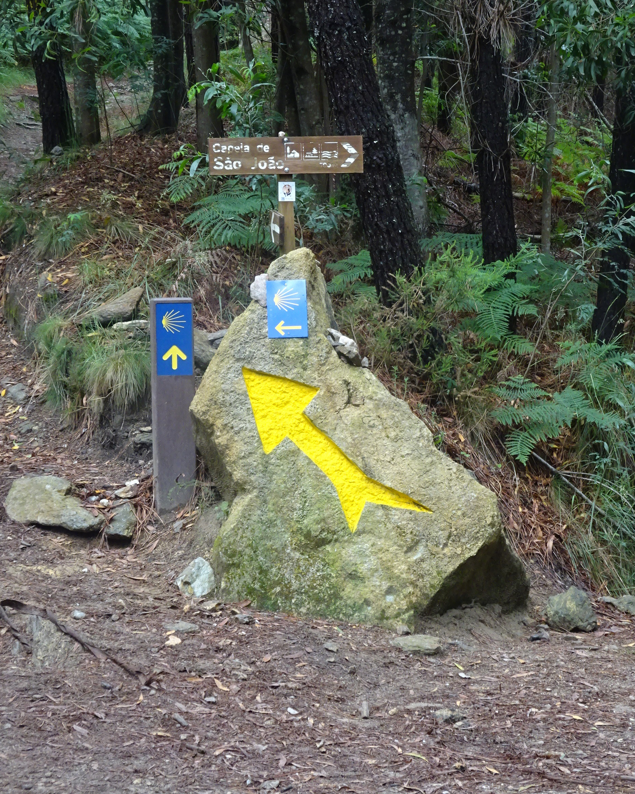 Wegmarkierungen des Jakobswegs im Wald bei Giengen mit gelbem Pfeil auf einem Stein, Jakobsmuschel-Symbolen und einem Holzschild mit der Aufschrift „Capela de São José“.