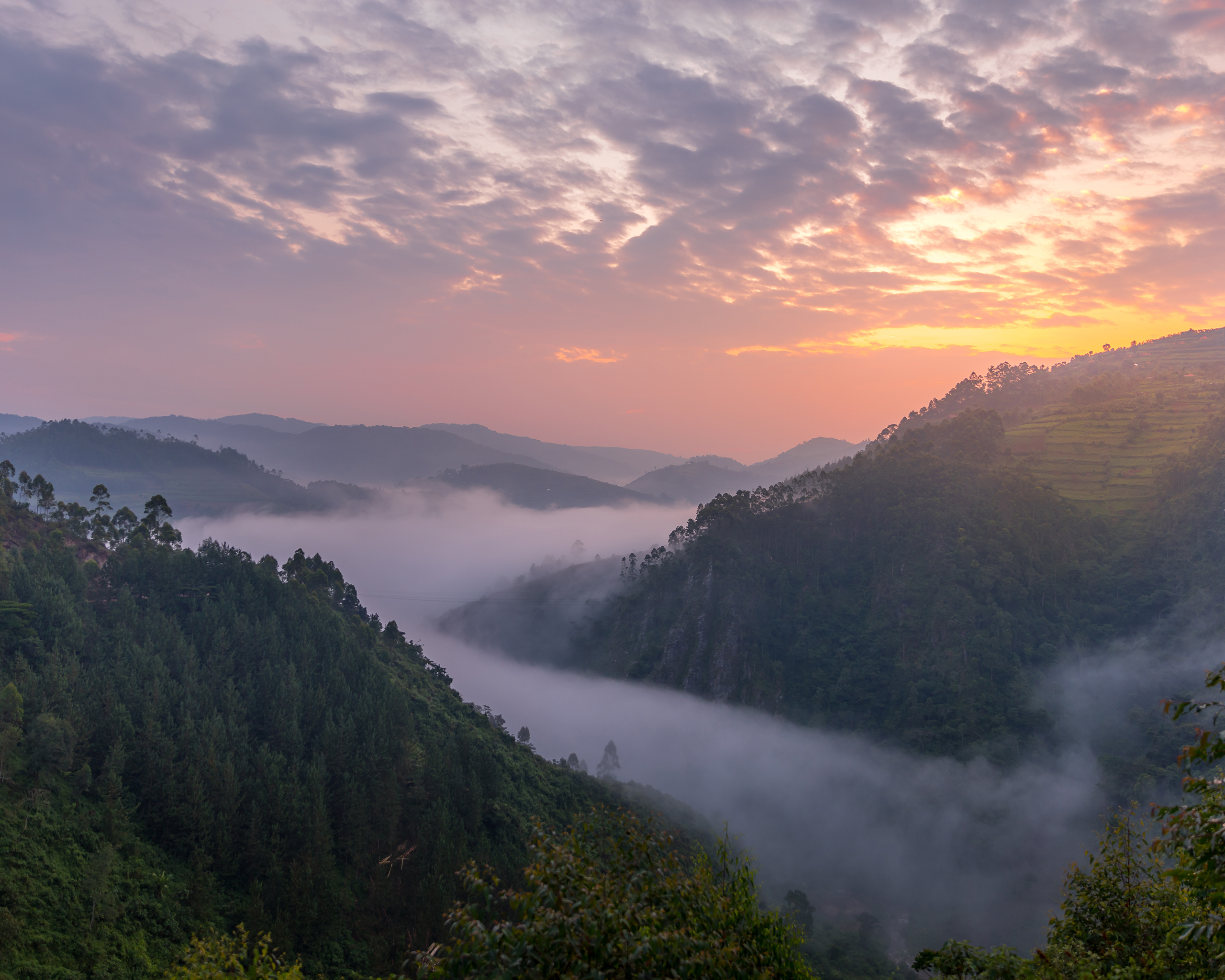 Morgenstimmung in den grünen Hügeln Ugandas, mit Nebelschwaden im Tal und warmem Sonnenaufgang über der bergigen Landschaft.