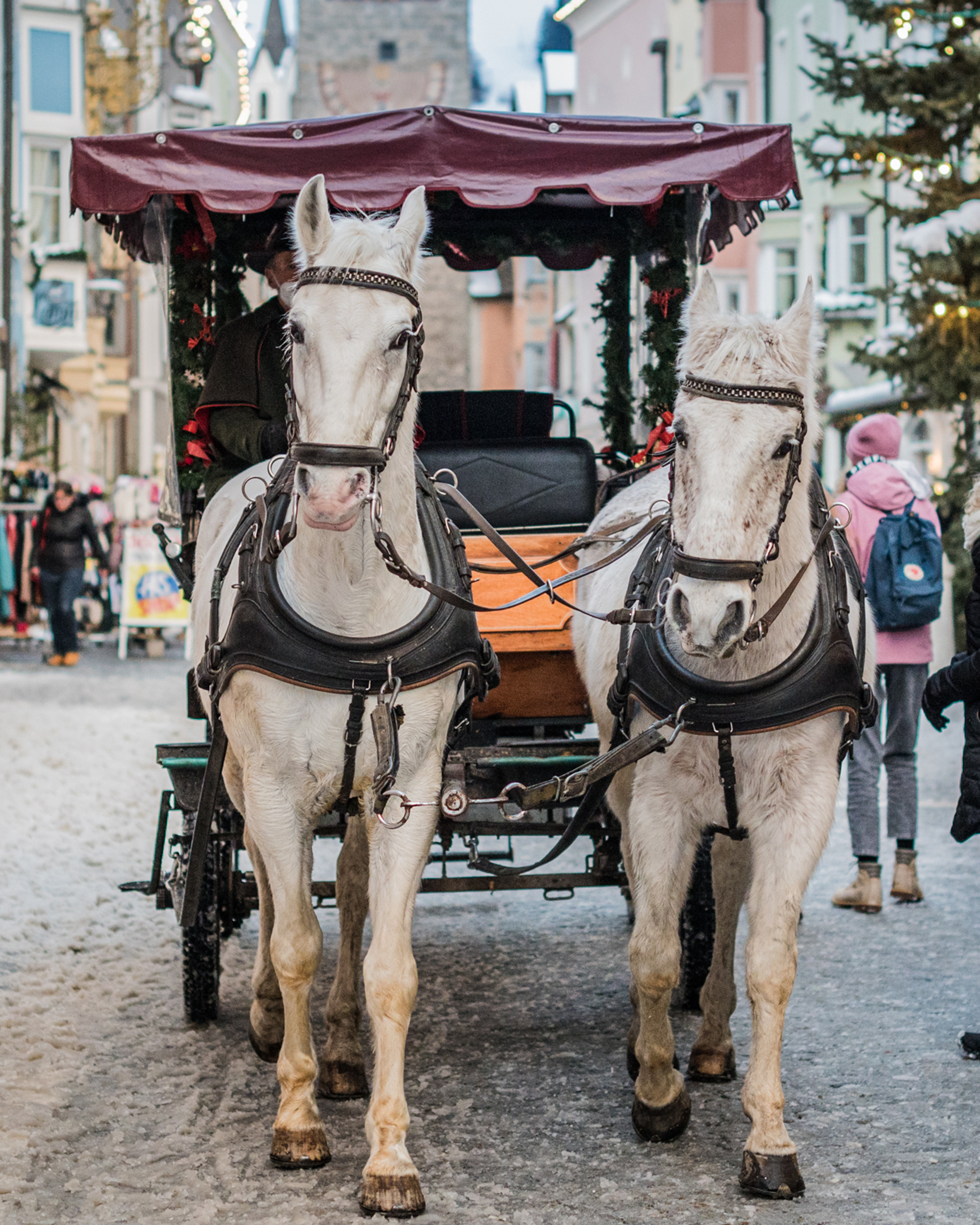 Zwei weiße Pferde ziehen eine festlich geschmückte Kutsche durch die winterliche Altstadt von Sterzing. © Wisthaler.com