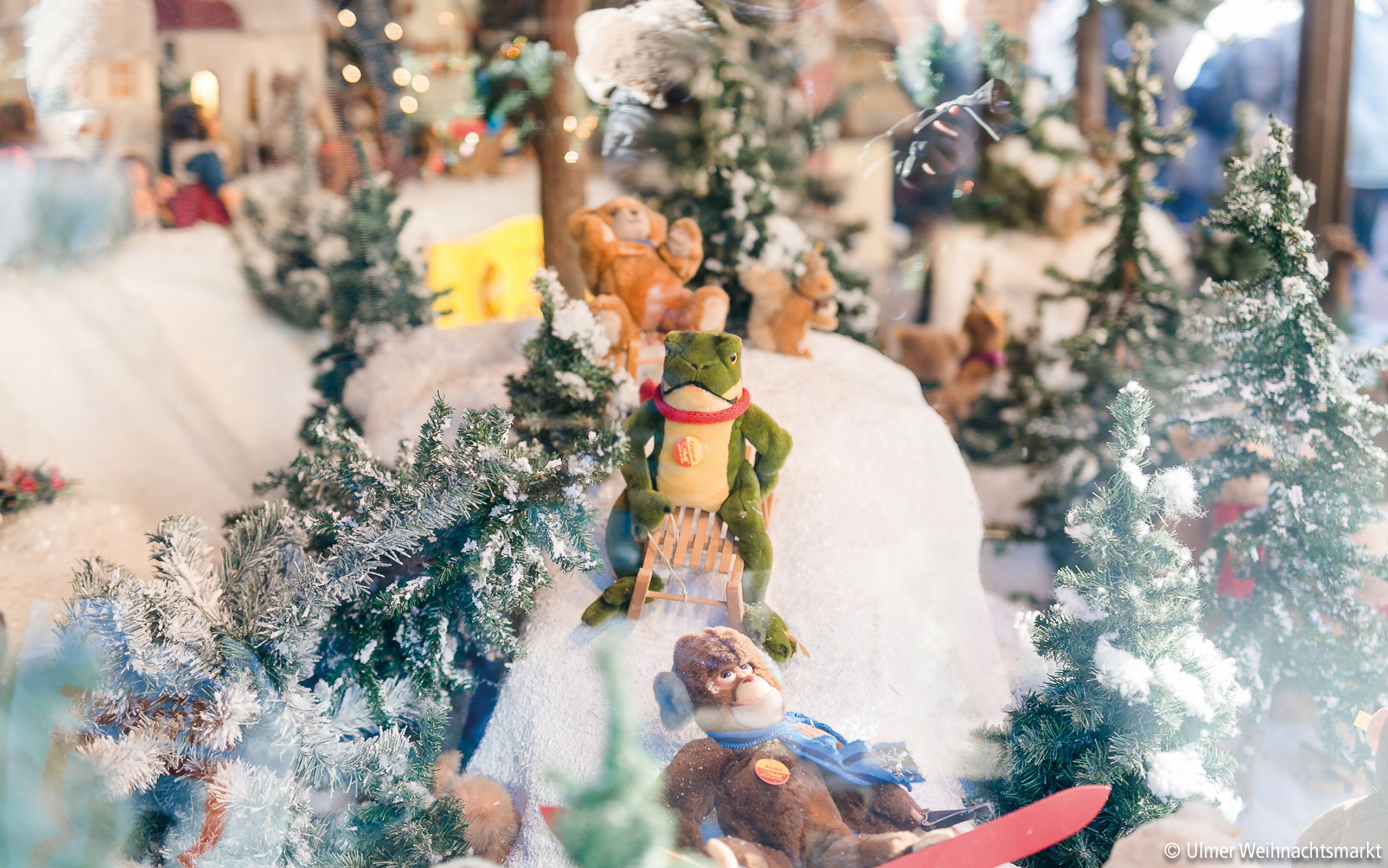Winterliches Schaufenster mit Plüschtieren in Schneelandschaft – märchenhafte Eindrücke vom Ulmer Weihnachtsmarkt