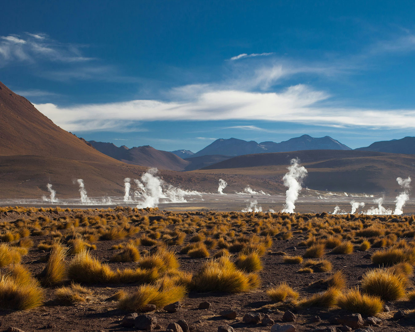 Aufsteigende Dampfsäulen der El-Tatio-Geysire in Chile, umgeben von trockenem Hochlandgras und den Anden.